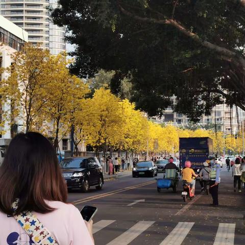 牛王头(曾要武)的美篇