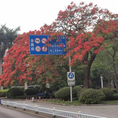 牛王头(曾要武)的美篇