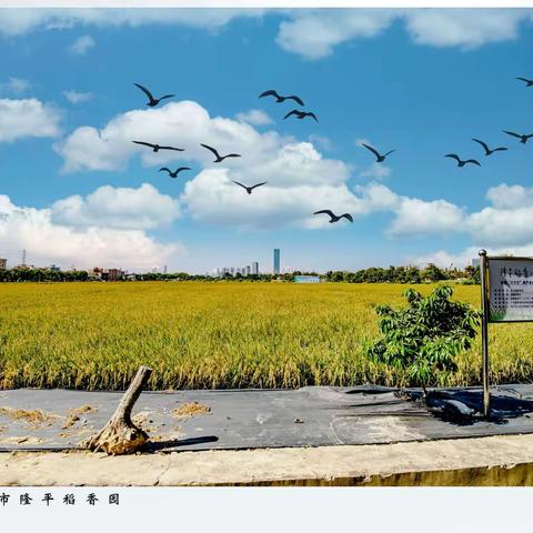 牛王头(曾要武)的美篇