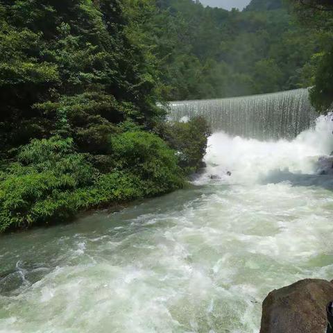 20190701贵州五日之旅六人行