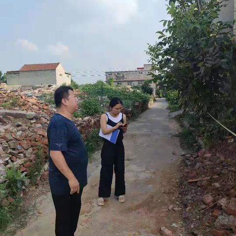 区住建局持续督导农村房屋安全隐患排查系统录入资料核实工作