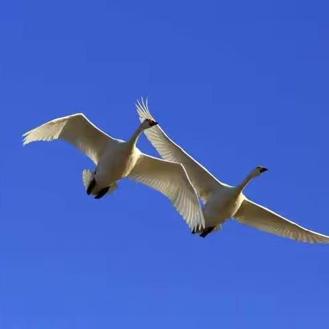 平安健康才是福的美篇