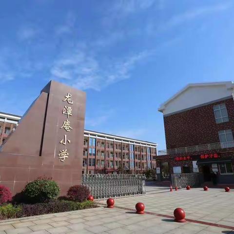 龙潭庵小学30班线上工作小结