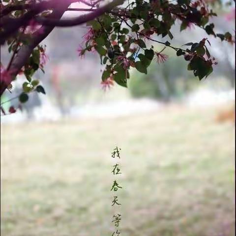 孝心传承，美在我家———相沟中小启航班劳动实践教育活动