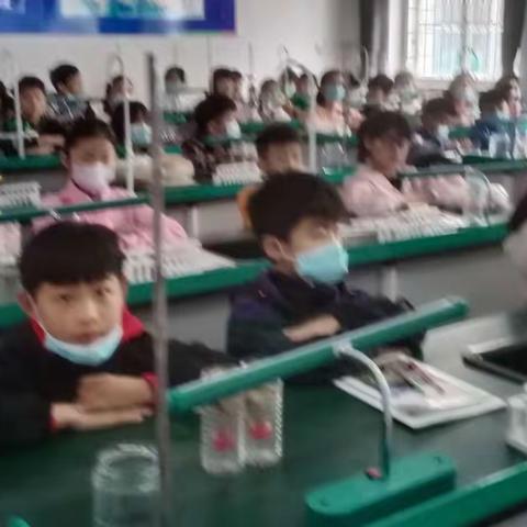 小实验：探究土壤的渗水性