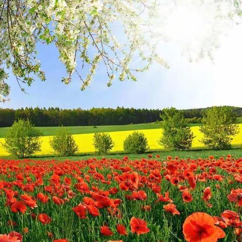 携手战疫情    停课不停学