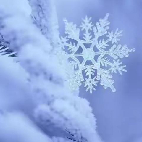 走基层深调研，凝心聚力谋发展——教体局局长周邦红到北果元中学调研指导工作