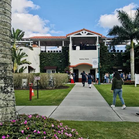 【在Polo的故乡Wellington Florida看马球比赛】