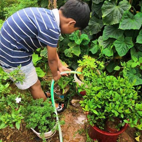 舞阳县保和乡二郎明德小学暑假实践活动