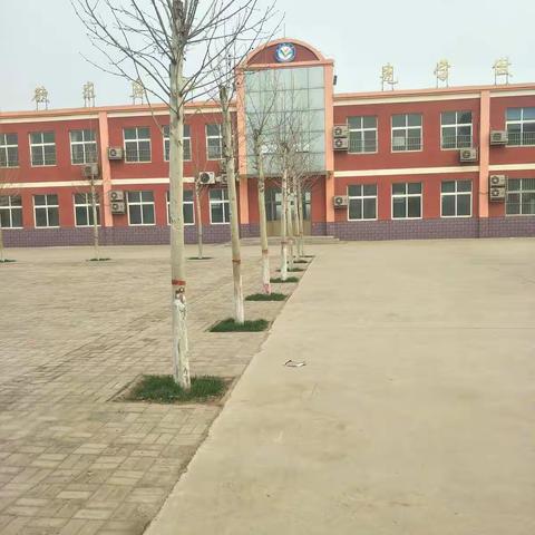 抗击疫情   温暖相伴——鲁新寨小学