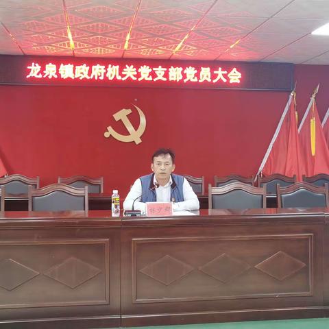 龙泉镇政府机关党支部党员大会