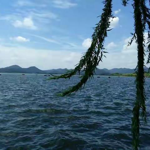 西湖印象