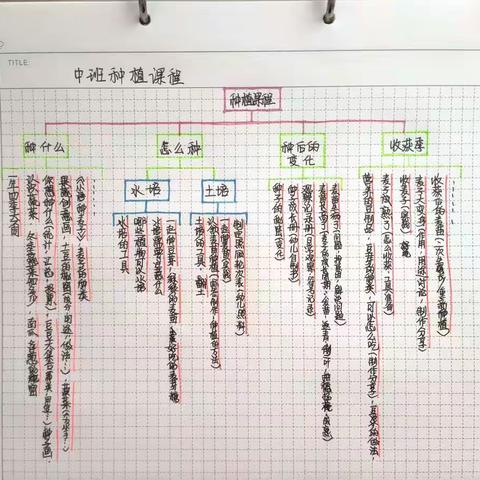 麦子的秘密--柏林幼儿园中班班本课程