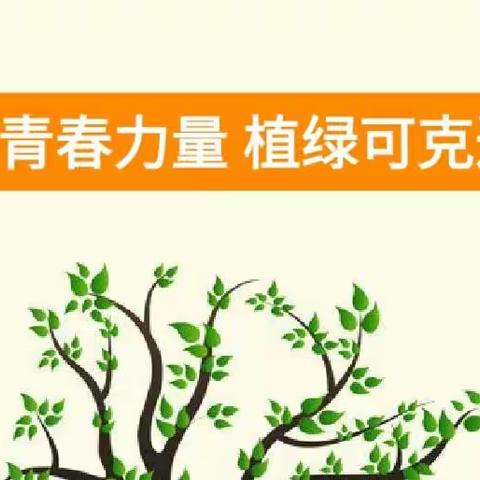 凝聚青春力量 植绿可克达拉 主题党日活动