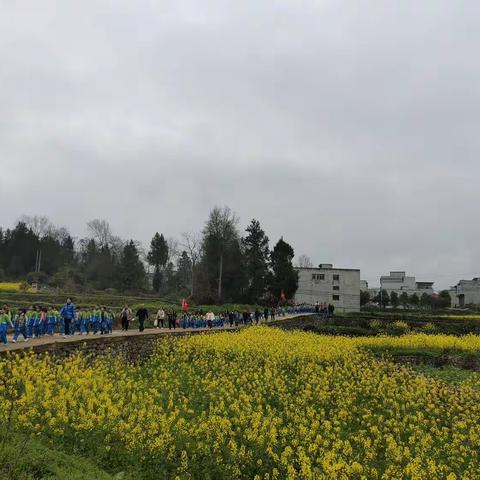 春日相约  亲近自然 ——三(4)班2023年春游纪实篇