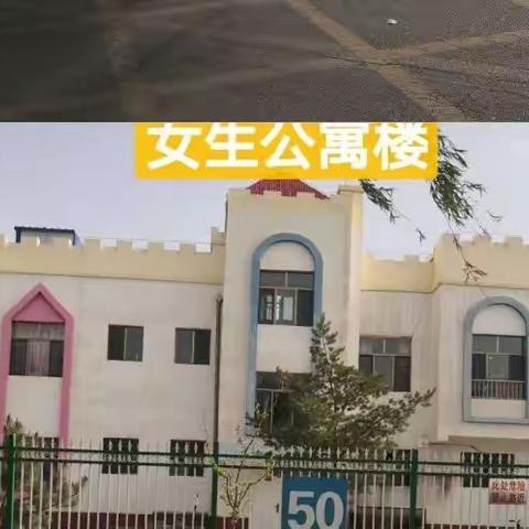 “六.一”儿童节献给爸爸妈妈的礼物
