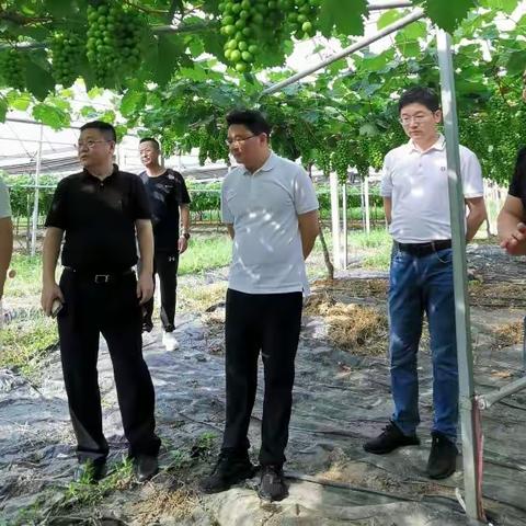 深圳报业集团副总经理朱永峰赴古竹镇调研：共谋发展宏图 共话乡村振兴