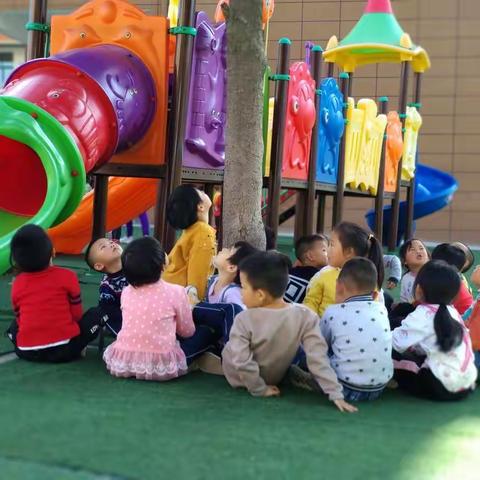 启慧二班11月份美篇