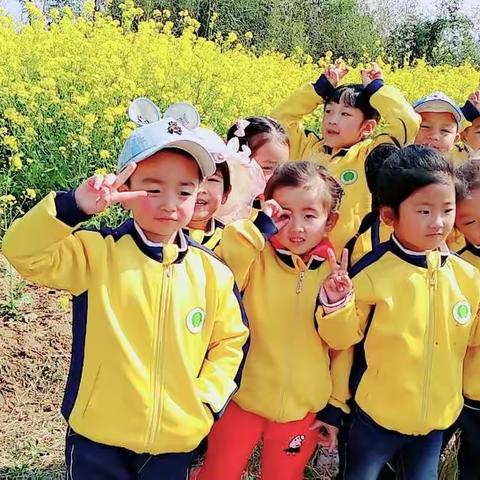 启慧一班3月份主题《职业、交通工具》