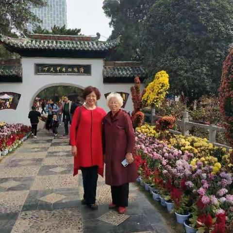 夕阳无限好的美篇.