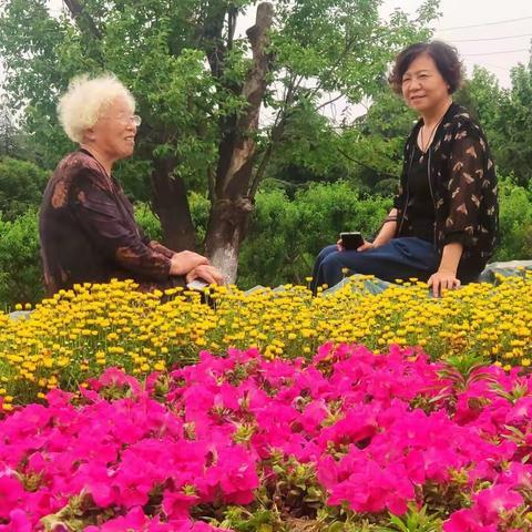 炎暑将至万物长，日光明美且张扬