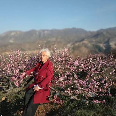 年年岁岁花相似，岁岁年年人不同，人面不知何处去，桃花依然笑春风。（副本）