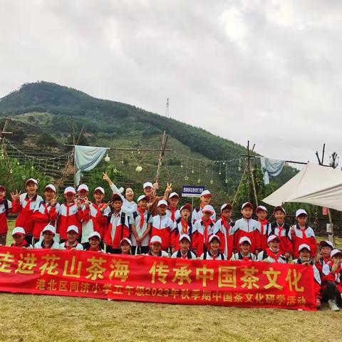 探索茶的奥秘，体验制茶文化——港北区同济小学五年级覃塘茶山花海研学一日游