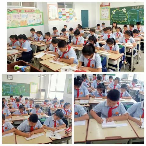 【实小•双减】硬笔书法提高二班期末总结