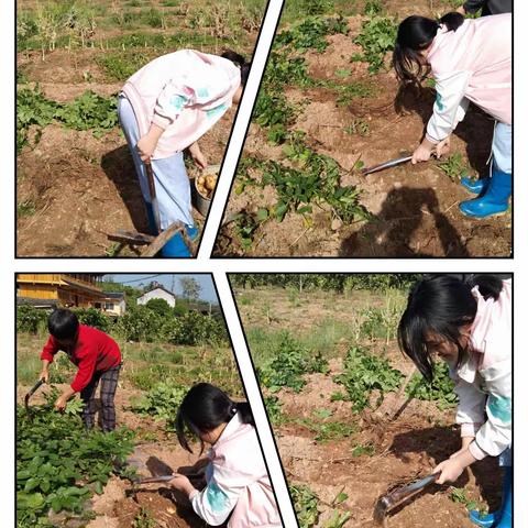 A*^_^*A柠檬的美篇