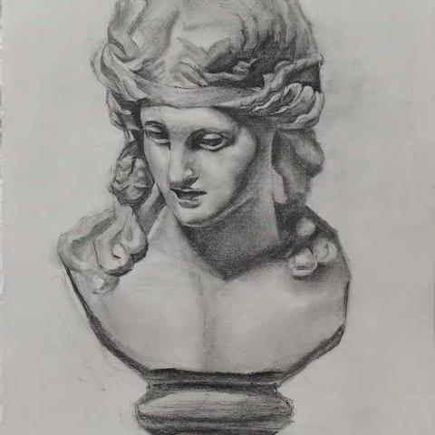 六年级第一个月素描月的练习作业