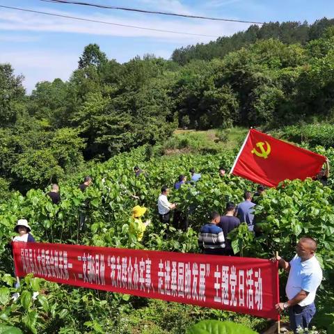 “兴产业、强党建”县人大常委会到关口村开展主题党日活动