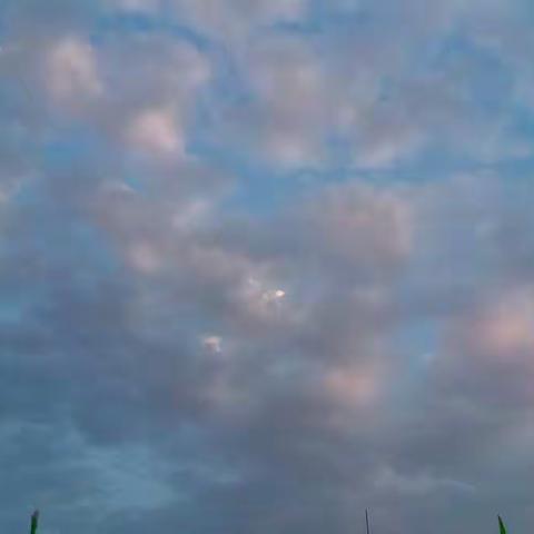 小博士幼儿园示范大一班——欢乐时光