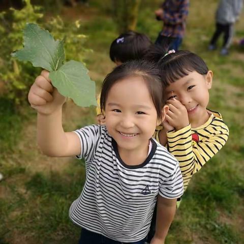 “趣味种植 快乐成长”电厂幼儿园中三班