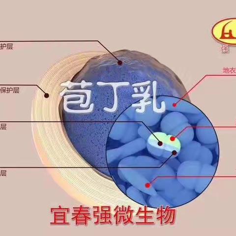 养殖就是养肠道、强微“苞丁乳”在肉鸡养殖中应用效果反馈