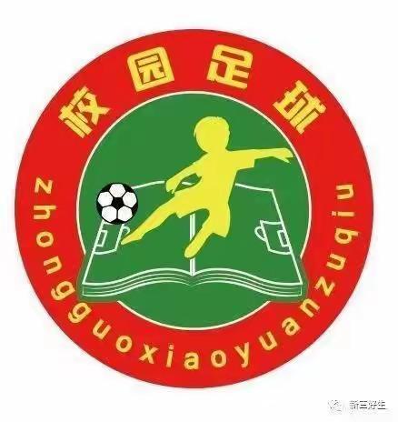 绽放足球风采，挥洒青春活力——2022年九道岭镇中心小学第八届校园足球联赛纪实