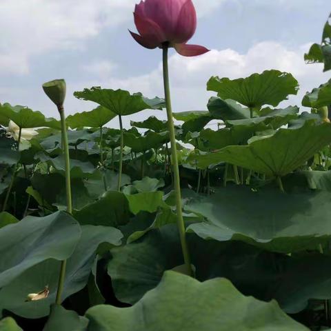 小网格、大民生！