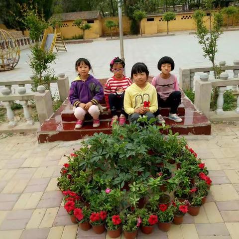 幸福一生的美篇