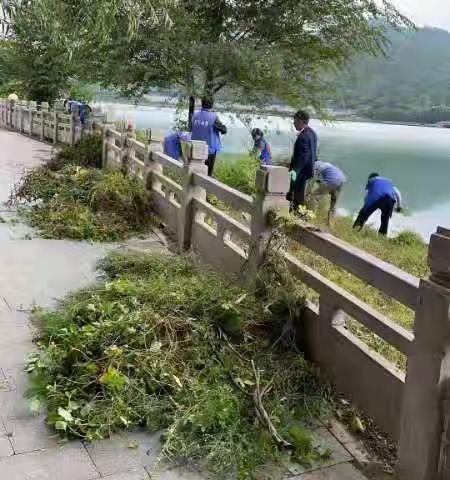 清除河湖杂草 改善水生态环境