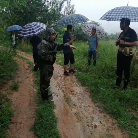 省自然资源监测院组织专家冒雨对我市地质灾害隐患点开展应急调查