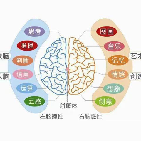 让思维之花绽放——汉光实验小学高年级数学组学科活动！