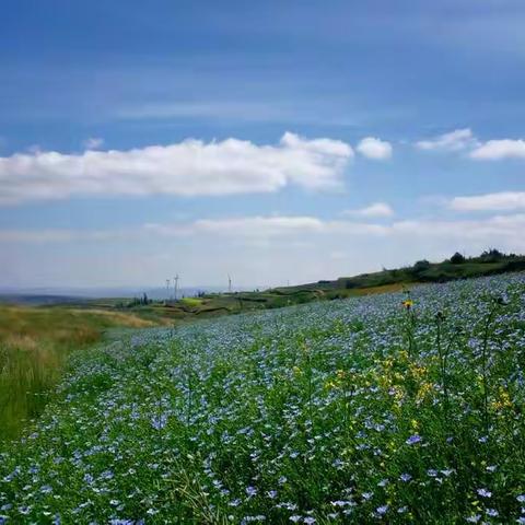 山乡夏日（海原 2018）