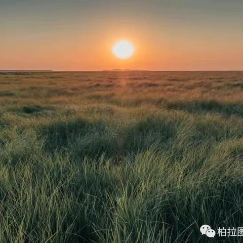 我在美篇里竟然已经写了320篇文章！