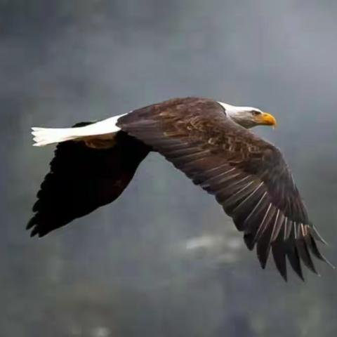 当你把所在行业的坑都踩遍之后，才成为行家