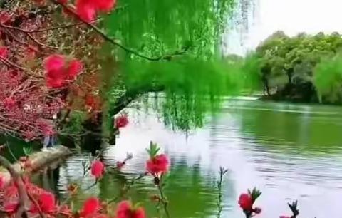 当一个人在忙的时候，要记得随时看一下心在哪里？