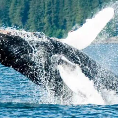 人们心里的恐惧往往大多数都是想象出来的（二）