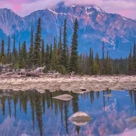 想起以前读书的一些经历