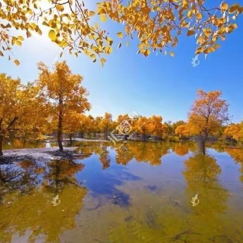 我对幸福婚姻的思考和感悟