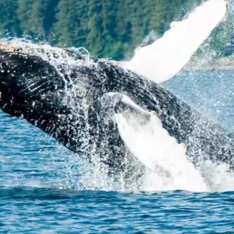 将平凡的工作干得出色