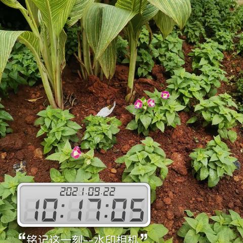 德泰•宝岭嘉园