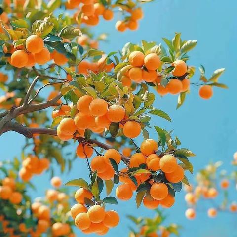 我为什么不在美篇写作了？